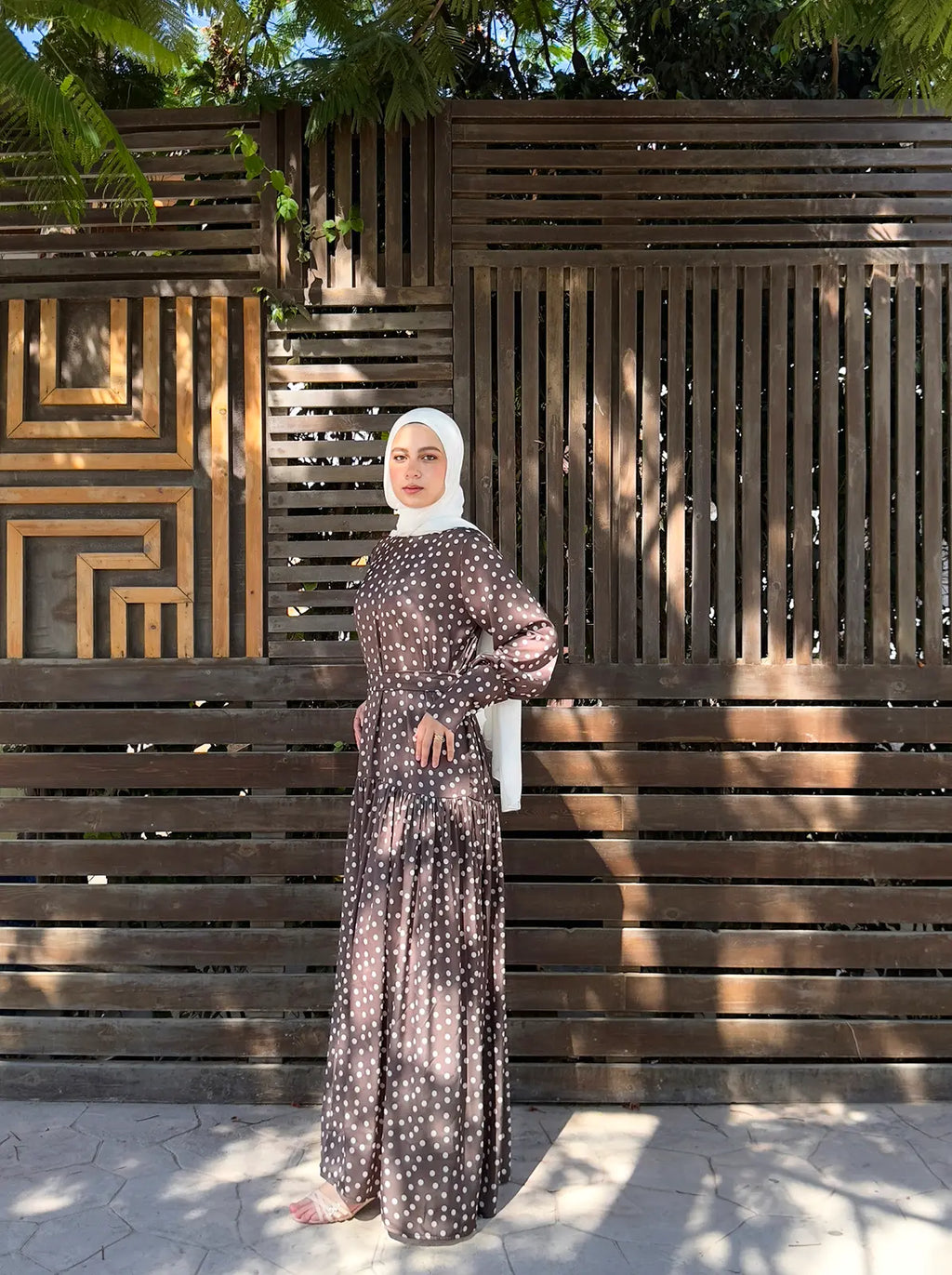 Brown Polka Dots Dress