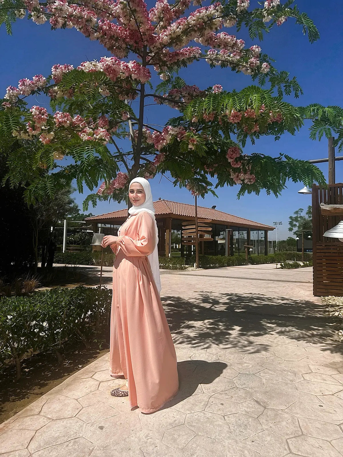 Simon Mozhera Dress